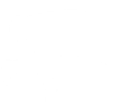 Fandom Store